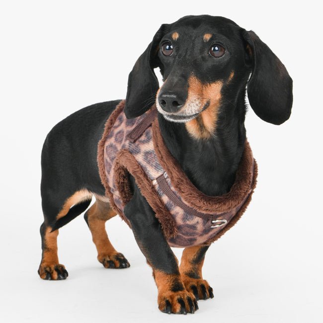 Puppia Kovo Vest Harness model B Brown hondentuig > honden harnas > model B Small