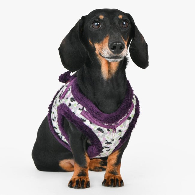 Puppia Huxley Vest Harness model B Purple hondentuig > honden harnas > model B Small