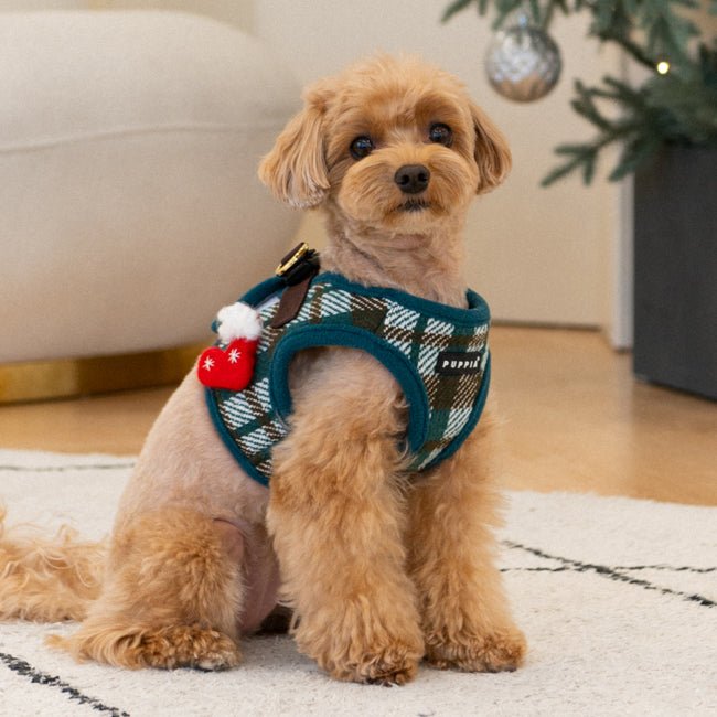 Puppia Festive Vest Harness B Green hondentuig > honden harnas > model B Small