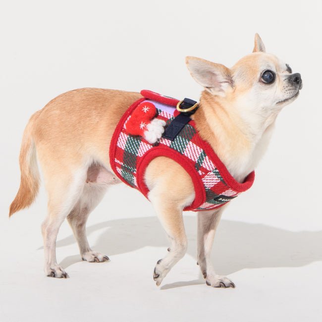 Puppia Festive Vest Harness B Red hondentuig > honden harnas > model B Small