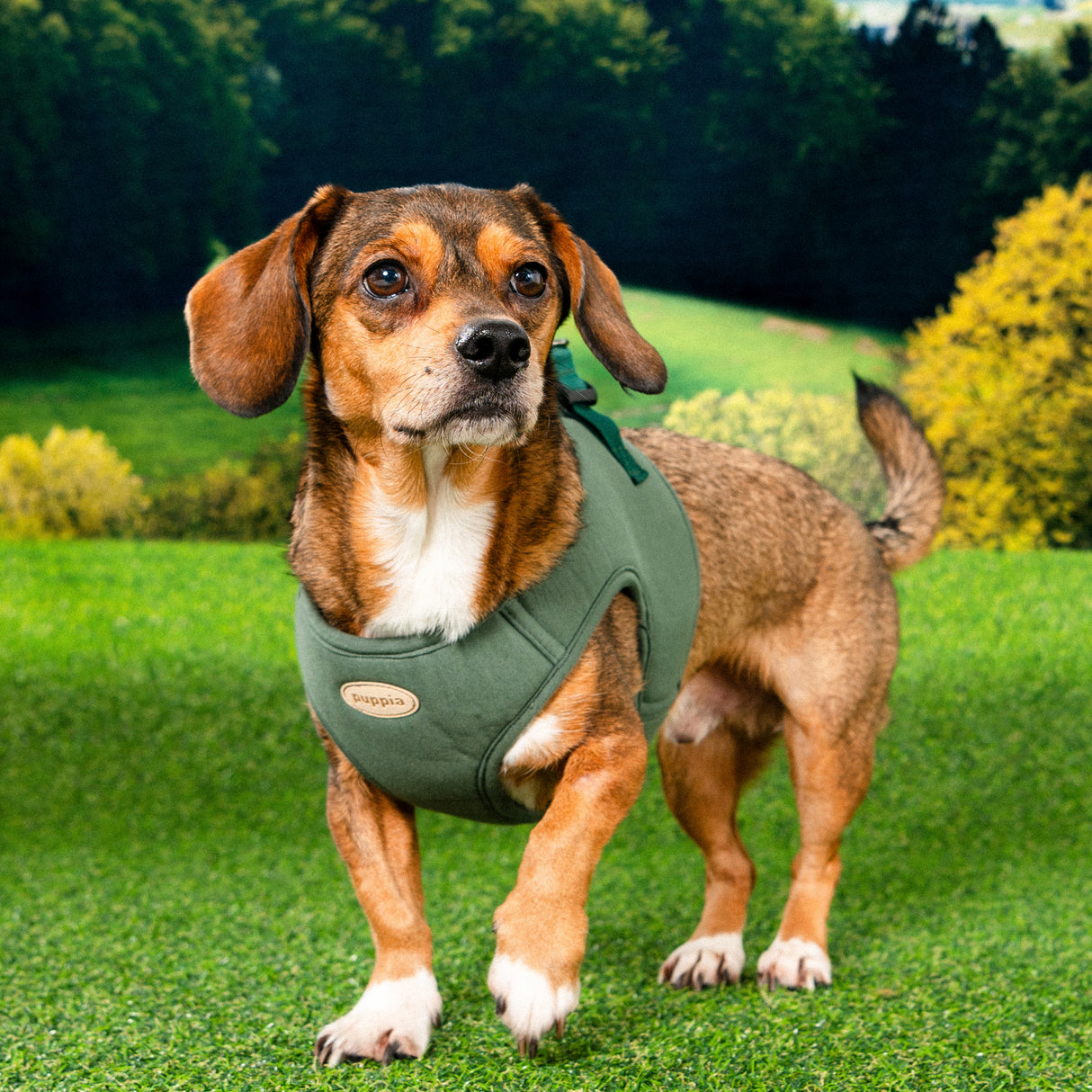 Puppia Recycled Eco Vest Harness B Khaki - Premium hondentuig > honden harnas from Puppia - Just €26.99! Shop now at Frenkiezdogshop