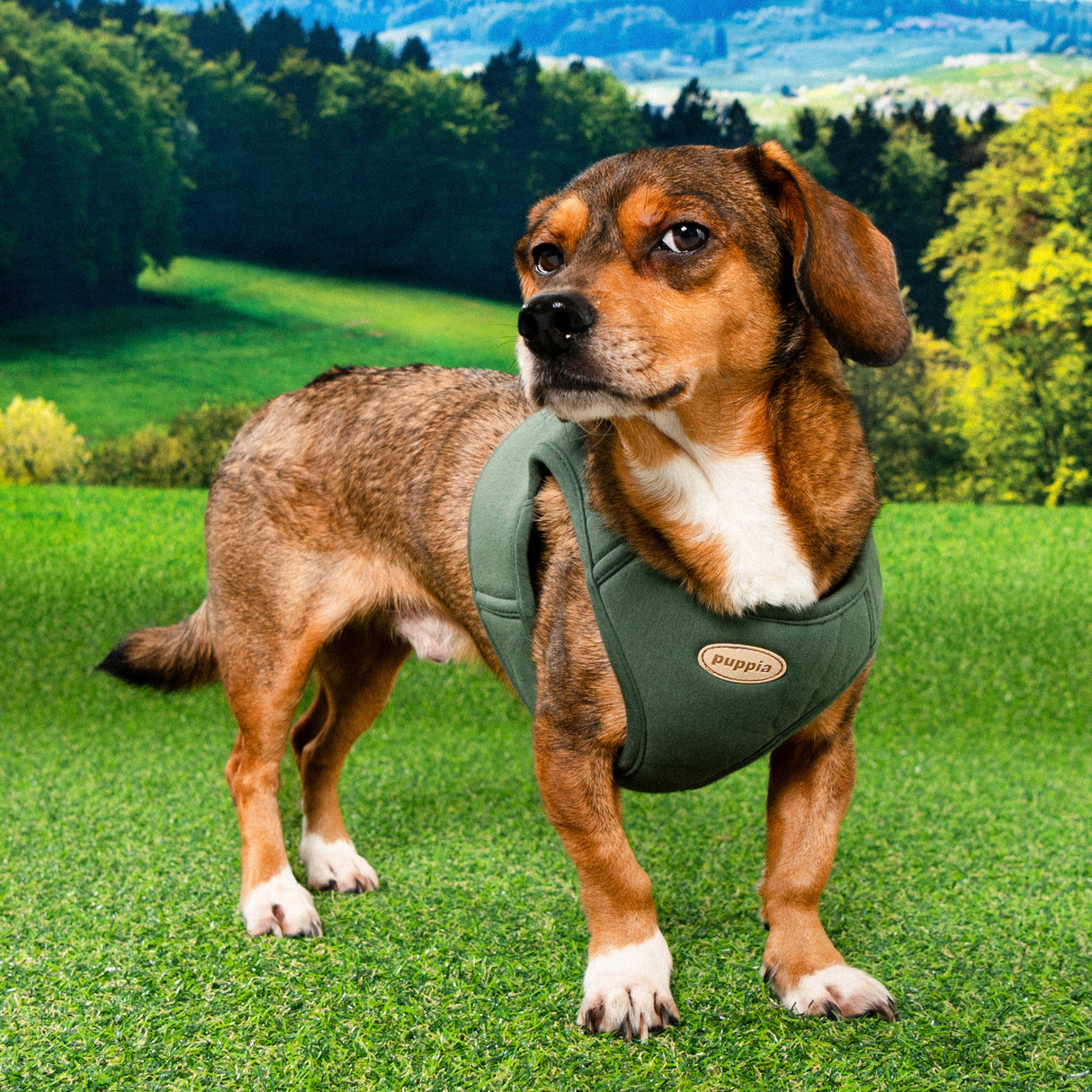 Puppia Recycled Eco Vest Harness B Khaki - Premium hondentuig > honden harnas from Puppia - Just €26.99! Shop now at Frenkiezdogshop