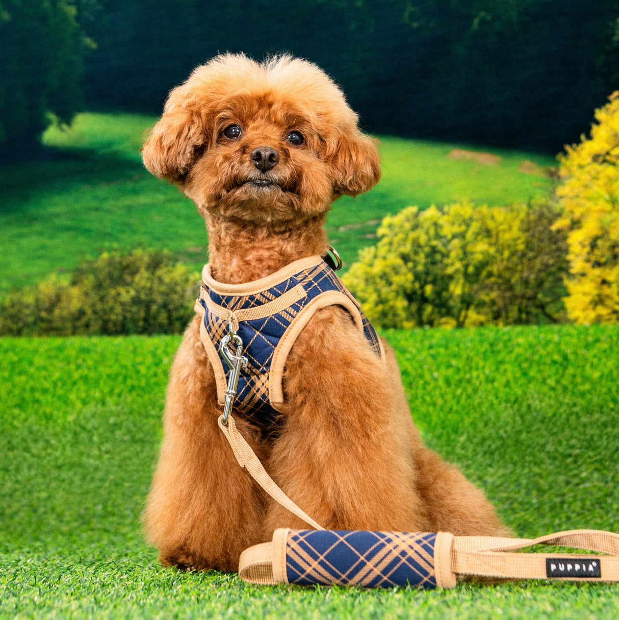 Puppia Corwin Vest Harness model B Navy - Premium hondentuig > honden harnas from Puppia - Just €29.99! Shop now at Frenkiezdogshop