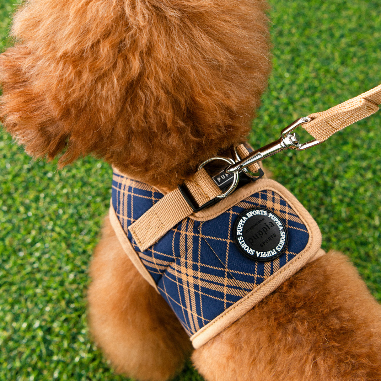 Puppia Corwin Vest Harness model B Navy - Premium hondentuig > honden harnas from Puppia - Just €29.99! Shop now at Frenkiezdogshop