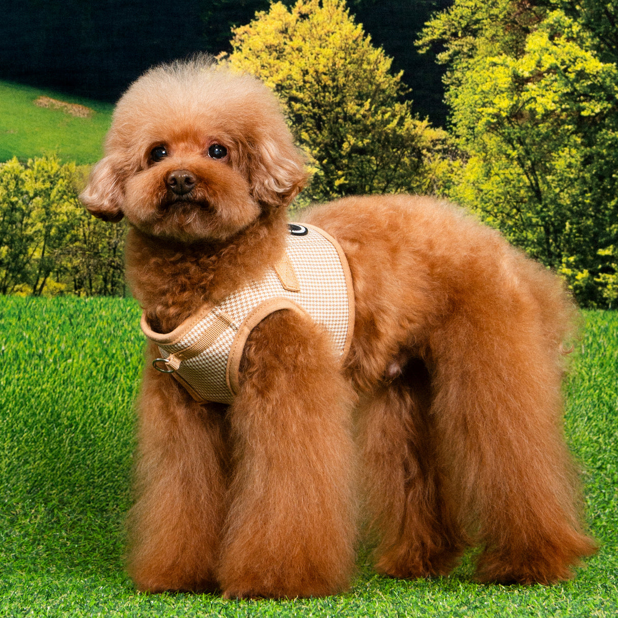 Puppia Amatus Vest Harness model B Beige - Premium hondentuig > honden harnas from Puppia - Just €29.99! Shop now at Frenkiezdogshop