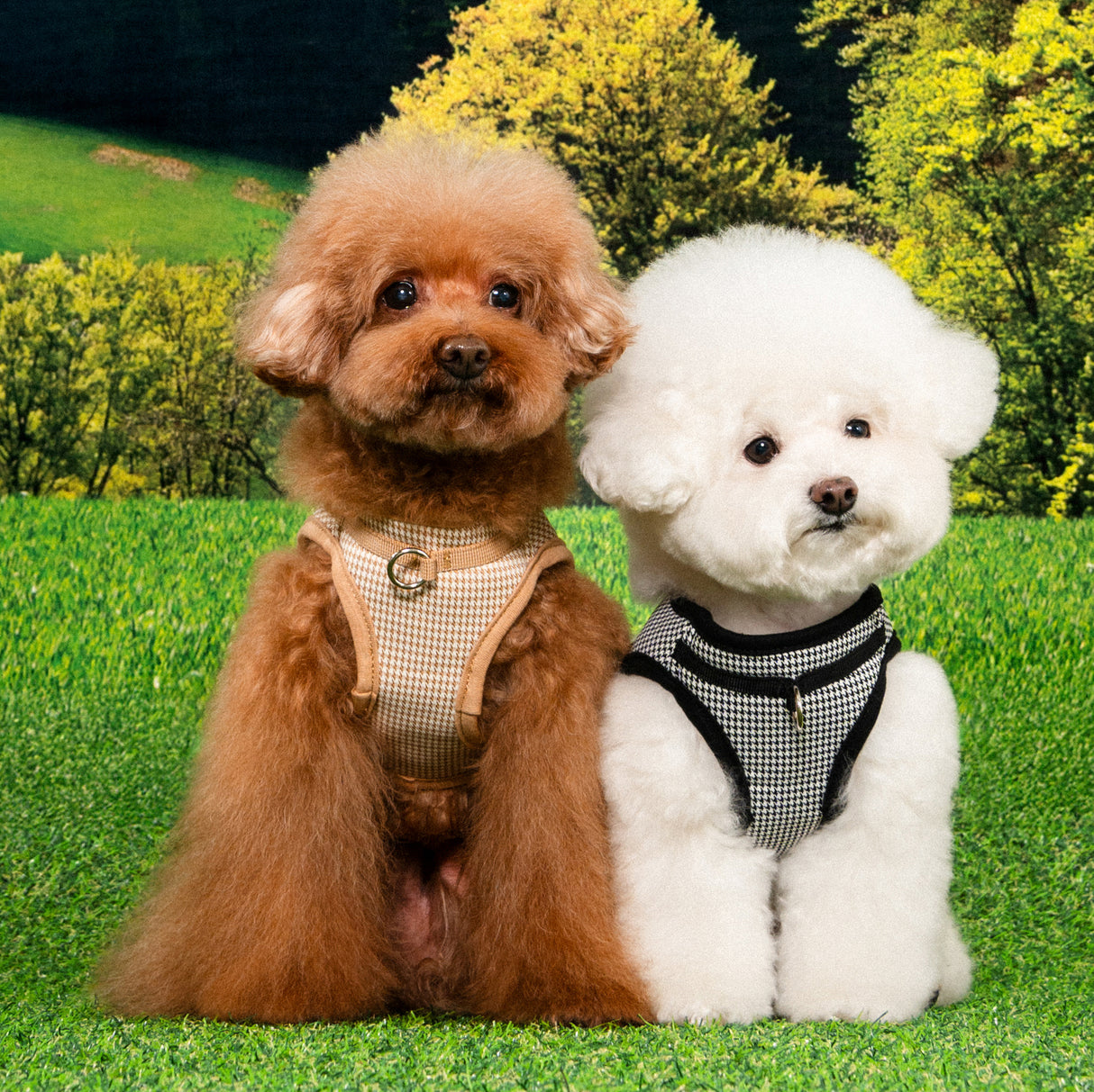 Puppia Amatus Vest Harness model B Beige - Premium hondentuig > honden harnas from Puppia - Just €29.99! Shop now at Frenkiezdogshop