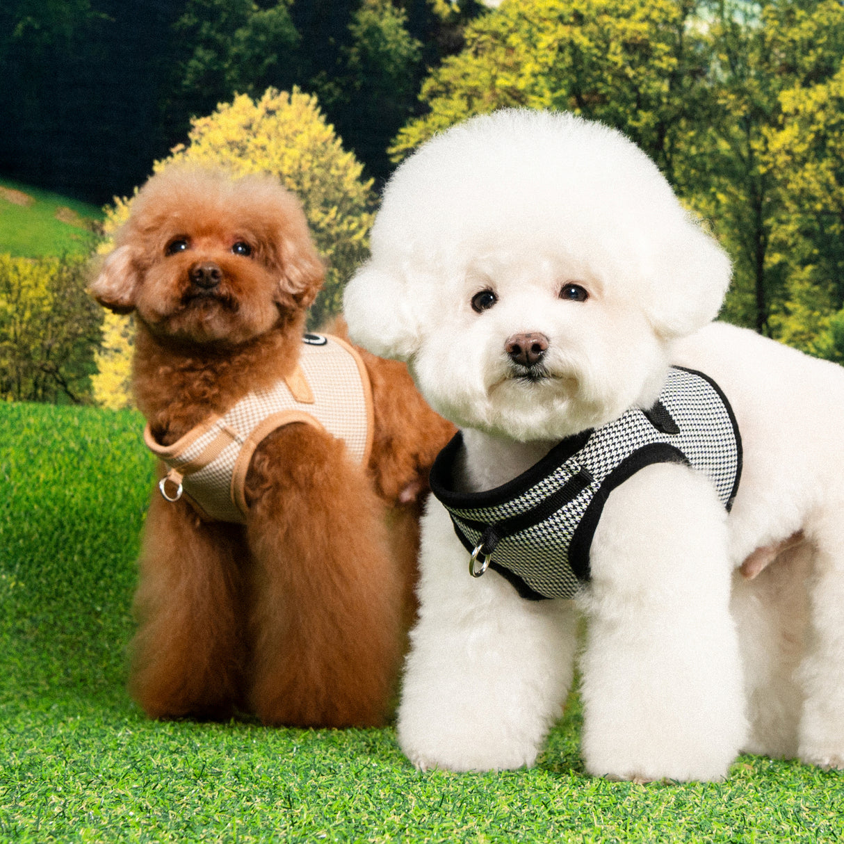 Puppia Amatus Vest Harness model B Beige - Premium hondentuig > honden harnas from Puppia - Just €29.99! Shop now at Frenkiezdogshop