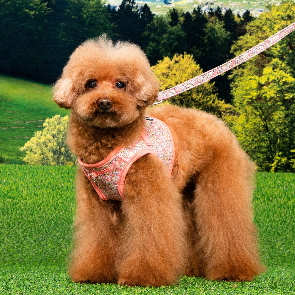 Puppia Kealoha Vest Harness model B Pink hondentuig > honden harnas > model B Small