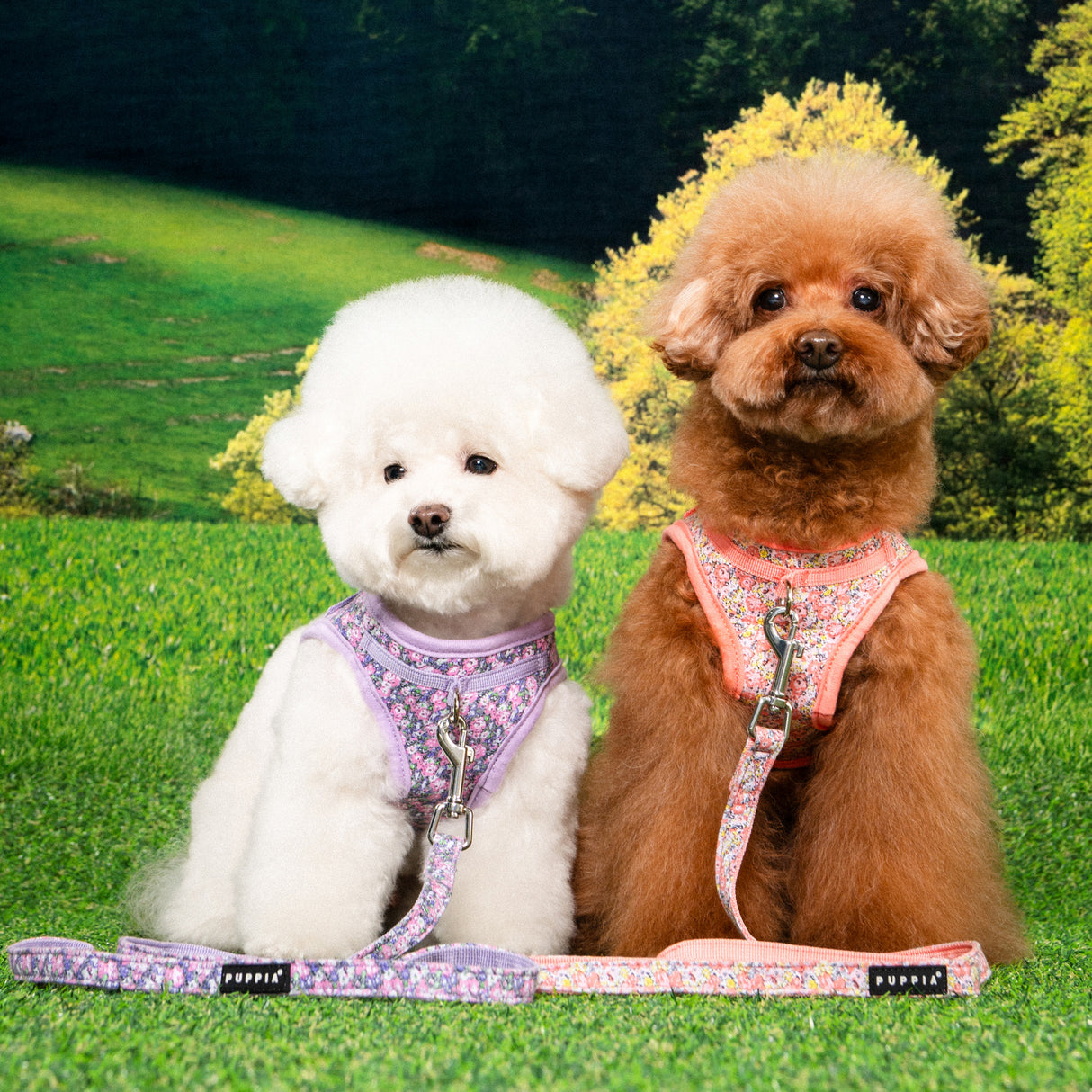 Puppia Kealoha Vest Harness model B Violet hondentuig > honden harnas > model B Small