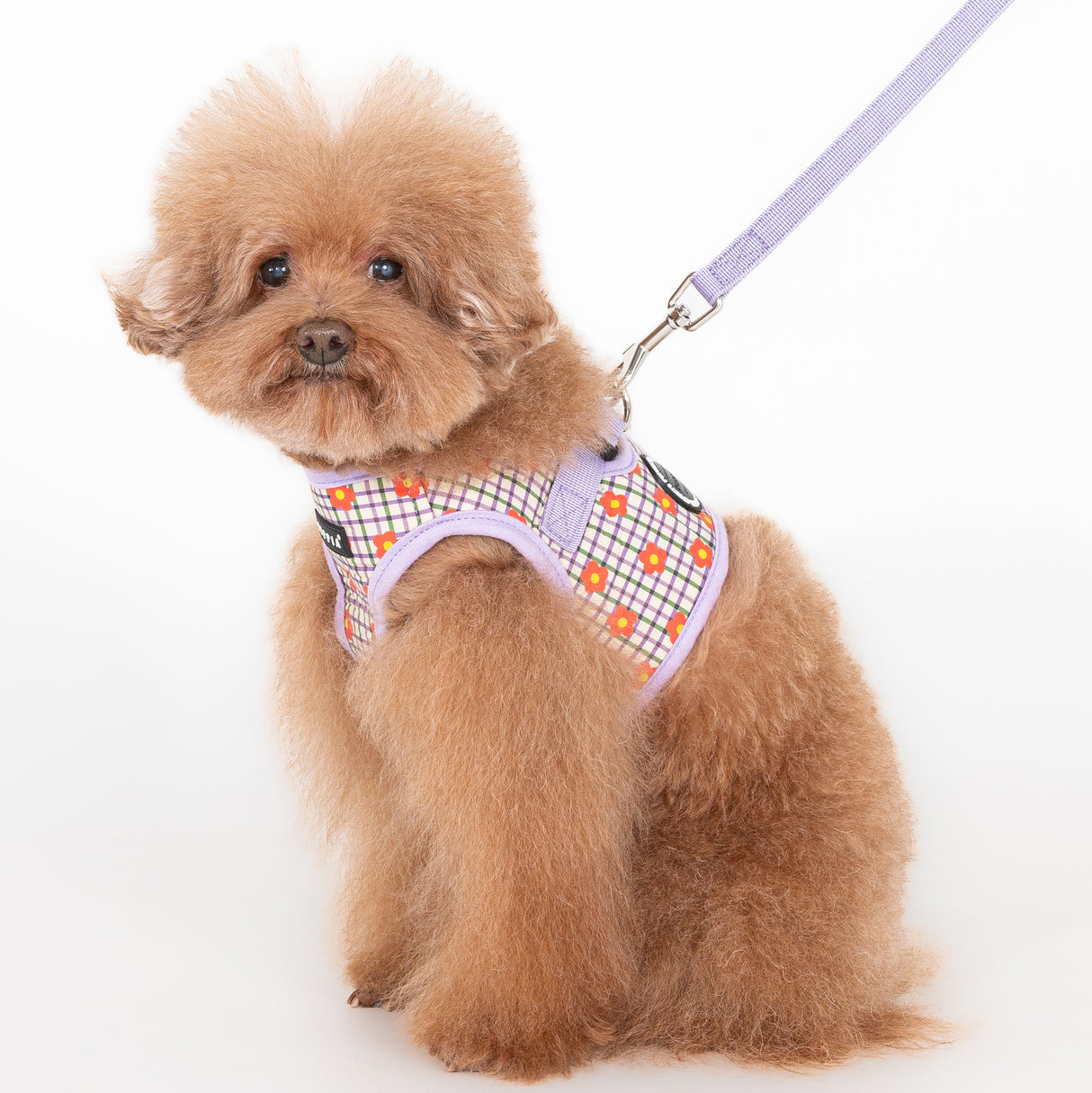 Puppia Westley Vest Harness Model B Violet