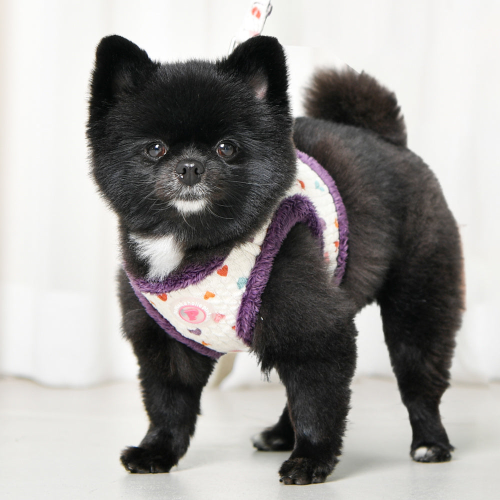 Pinkaholic Merry Vest Harness Purple - Premium hondentuig > honden harnas from Pinkaholic - Just €20! Shop now at Frenkiezdogshop