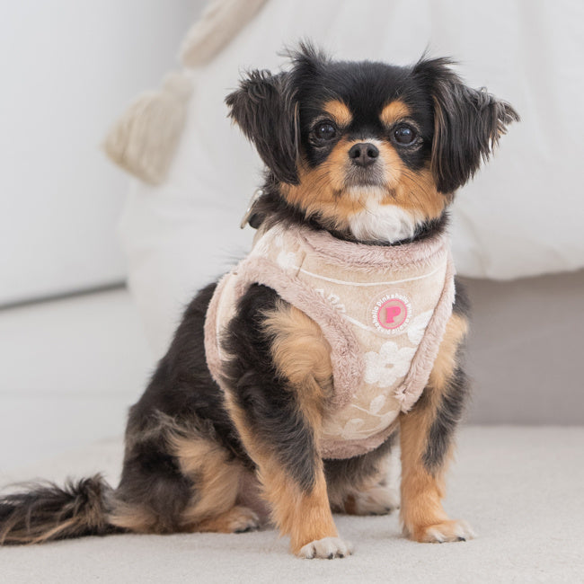 Pinkaholic Nanala Vest Harness Beige - Premium hondentuig > honden harnas from Pinkaholic - Just €20! Shop now at Frenkiezdogshop