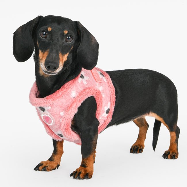 Pinkaholic Nanala Vest Harness Indian Pink hondentuig > honden harnas > model B Small