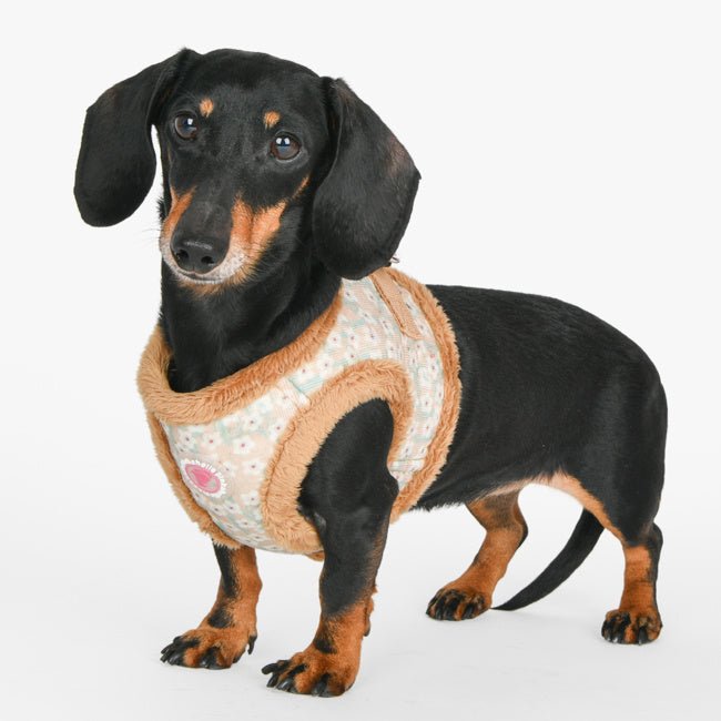 Pinkaholic Kalina Vest Harness Beige hondentuig > honden harnas > model B Small