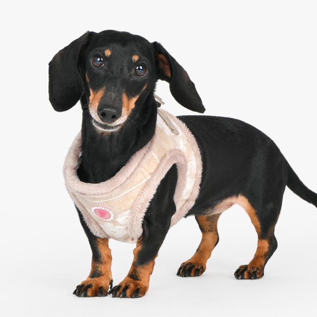 Pinkaholic Celandine Vest Harness Beige hondentuig > honden harnas > model B Small