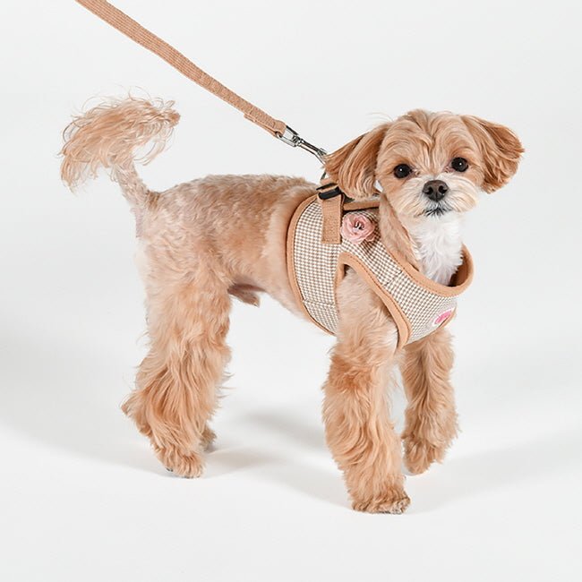 Pinkaholic Louise Vest Harness Beige hondentuig > honden harnas > model B Small