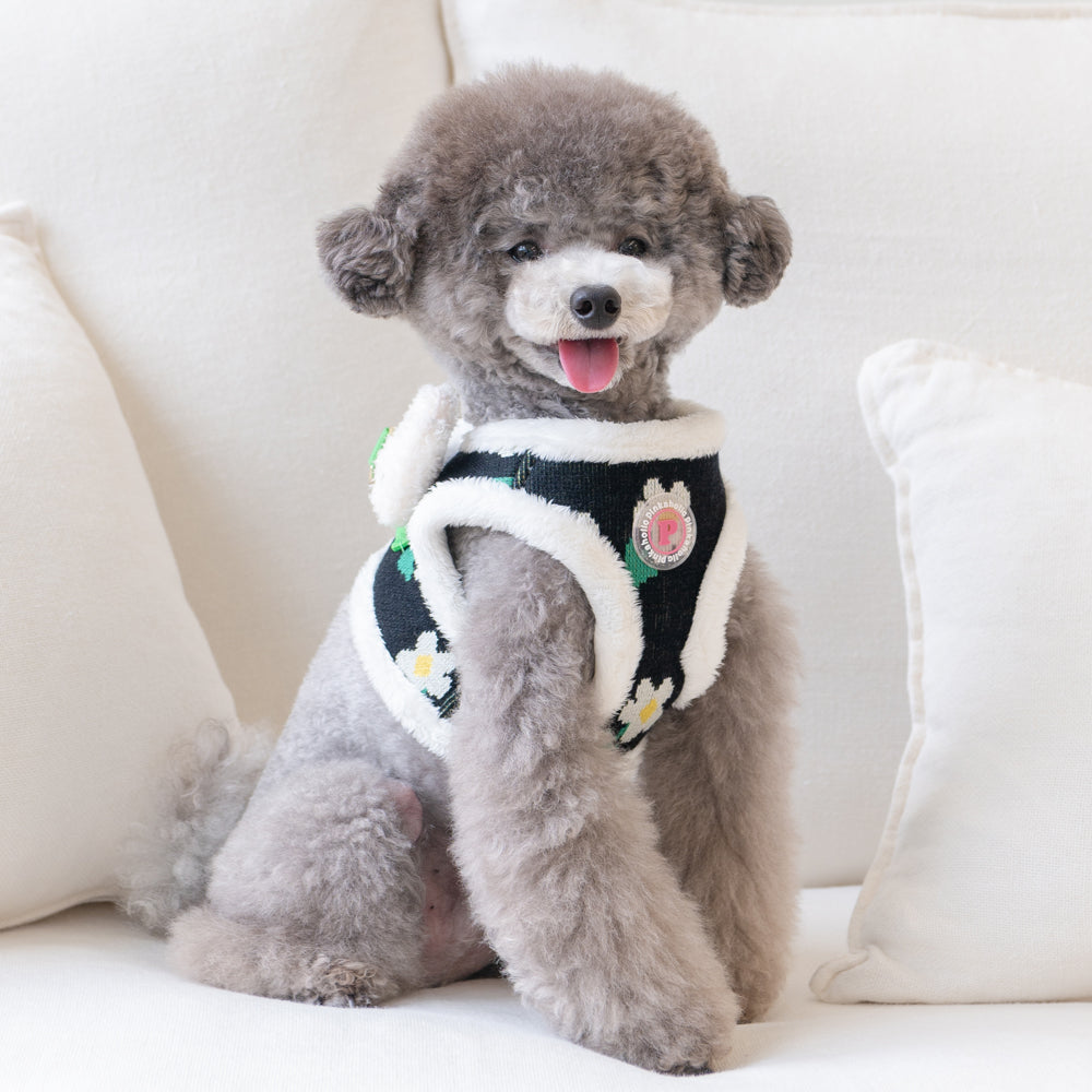 Pinkaholic Jasmine Vest Harness B Black - Premium hondentuig > honden harnas from Pinkaholic - Just €31.99! Shop now at Frenkiezdogshop