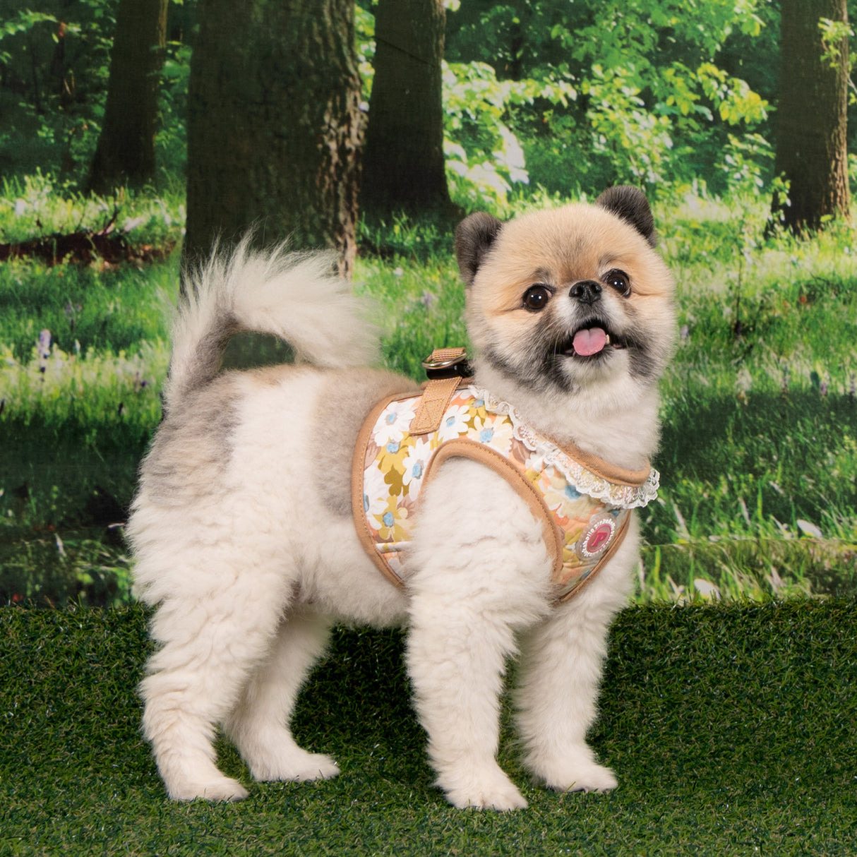 Pinkaholic Lilibeth vest Harness Beige - Premium hondentuig > honden harnas from Pinkaholic - Just €35.99! Shop now at Frenkiezdogshop