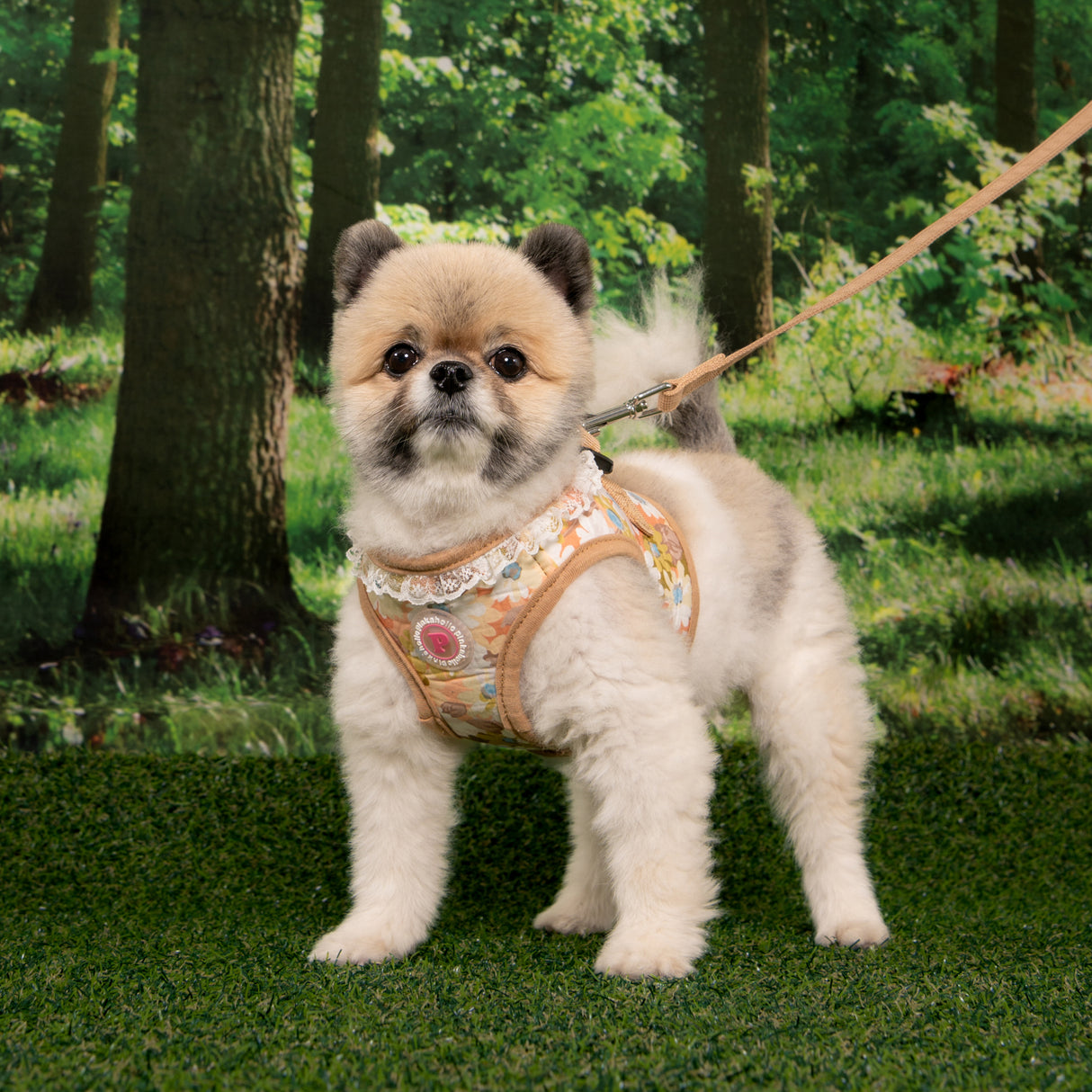 Pinkaholic Lilibeth vest Harness Beige - Premium hondentuig > honden harnas from Pinkaholic - Just €35.99! Shop now at Frenkiezdogshop