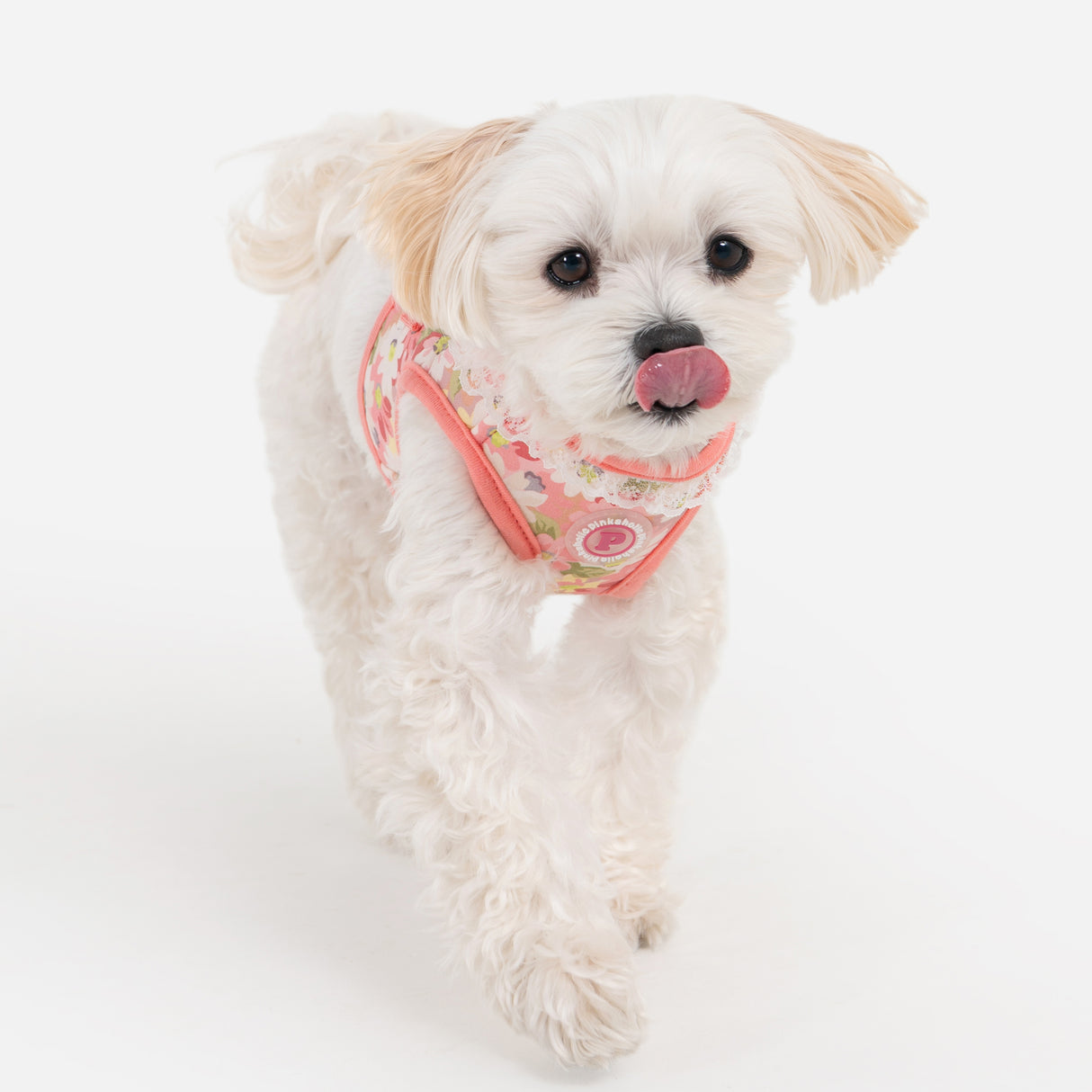Pinkaholic Lilibeth vest Harness Indian Pink - Premium hondentuig > honden harnas from Pinkaholic - Just €35.99! Shop now at Frenkiezdogshop