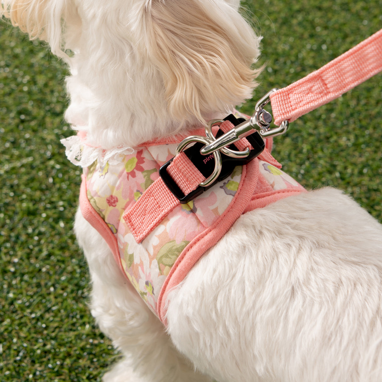 Pinkaholic Lilibeth vest Harness Indian Pink - Premium hondentuig > honden harnas from Pinkaholic - Just €35.99! Shop now at Frenkiezdogshop