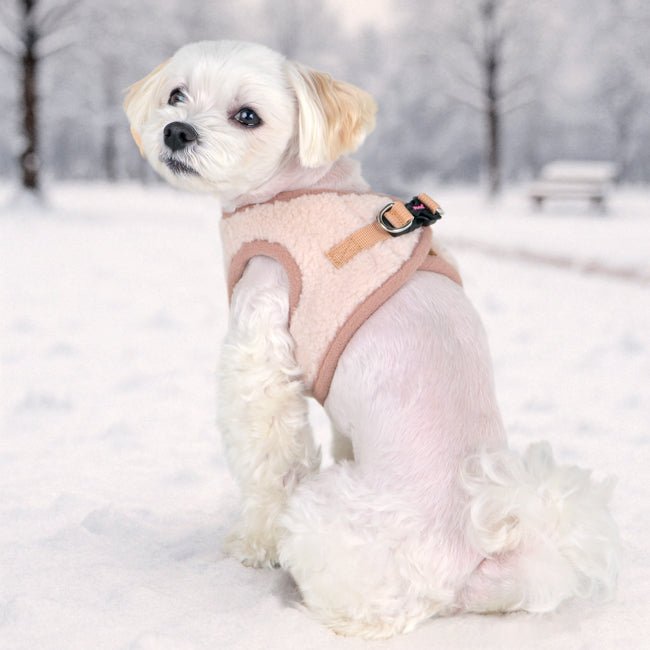 Pinkaholic Itzel Vest Harnas Model B - Beige hondentuig > honden harnas > model B Small