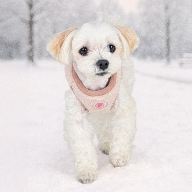 Pinkaholic Itzel Vest Harnas Model B - Beige hondentuig > honden harnas > model B Small