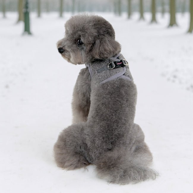 Pinkaholic Itzel Vest Harnas Model B - Grey hondentuig > honden harnas > model B Small