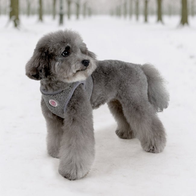 Pinkaholic Itzel Vest Harnas Model B - Grey hondentuig > honden harnas > model B Small