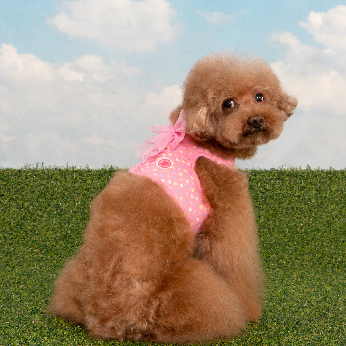 Pinkaholic Mabel J Harness Pink - Premium hondentuig > honden harnas from Pinkaholic - Just €29.99! Shop now at Frenkiezdogshop