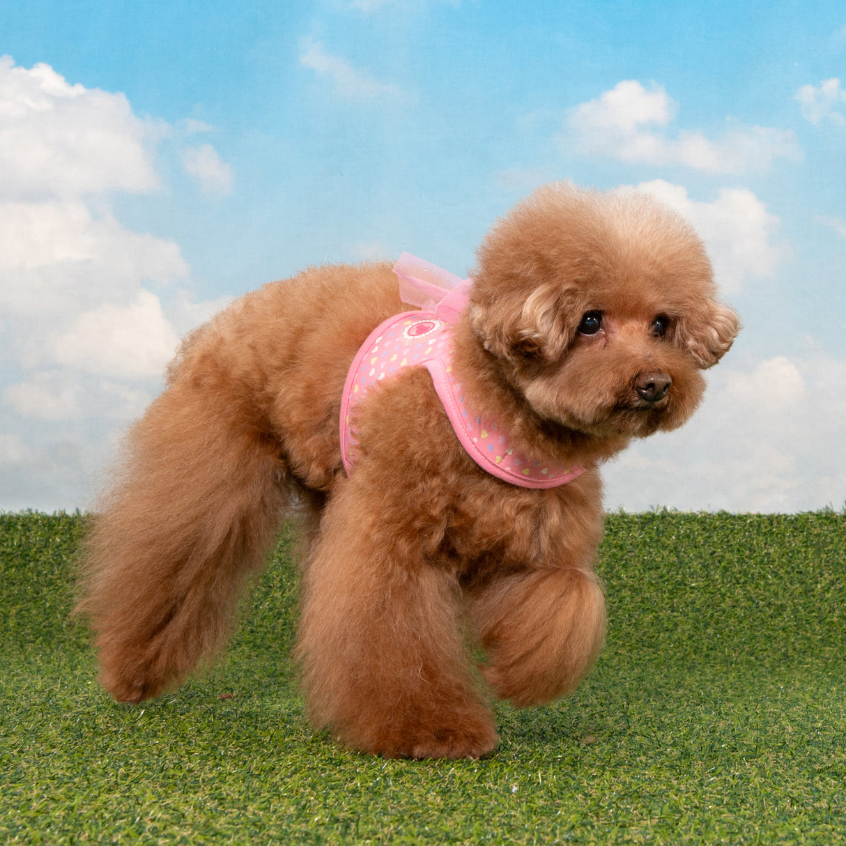 Pinkaholic Mabel J Harness Pink - Premium hondentuig > honden harnas from Pinkaholic - Just €29.99! Shop now at Frenkiezdogshop