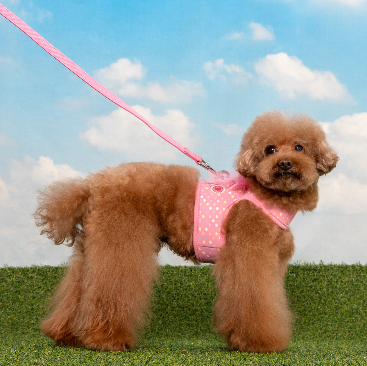 Pinkaholic Mabel J Harness Pink - Premium hondentuig > honden harnas from Pinkaholic - Just €29.99! Shop now at Frenkiezdogshop