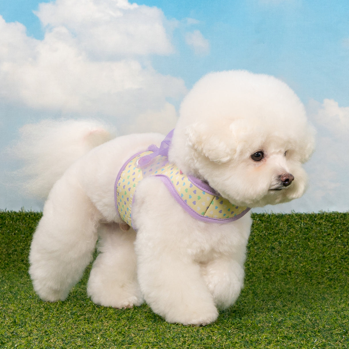 Pinkaholic Mabel J Harness Violet - Premium hondentuig > honden harnas from Pinkaholic - Just €29.99! Shop now at Frenkiezdogshop