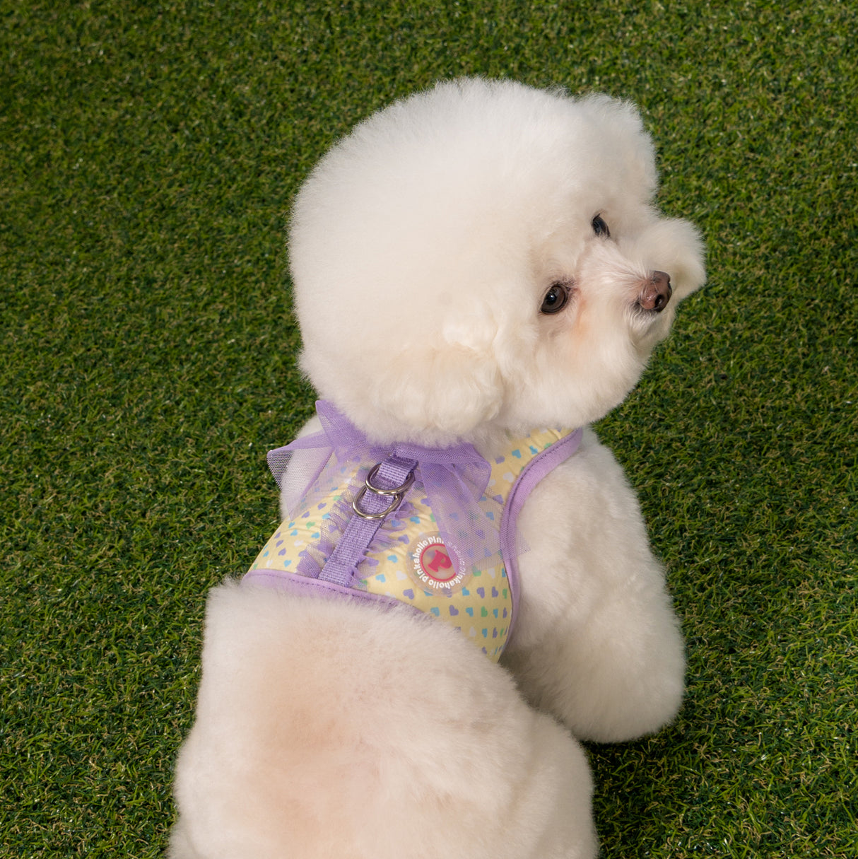 Pinkaholic Mabel J Harness Violet - Premium hondentuig > honden harnas from Pinkaholic - Just €29.99! Shop now at Frenkiezdogshop