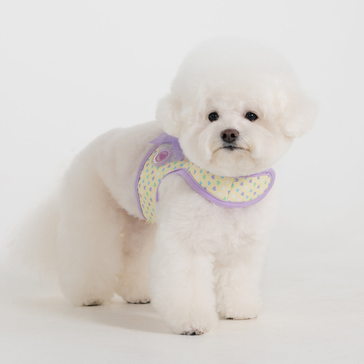 Pinkaholic Mabel J Harness Violet - Premium hondentuig > honden harnas from Pinkaholic - Just €29.99! Shop now at Frenkiezdogshop