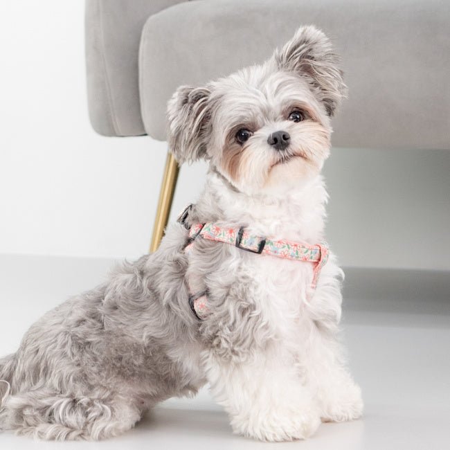 Puppia Lilac Harness X Plus Indian Pink hondentuig > honden harnas > overige modellen Small