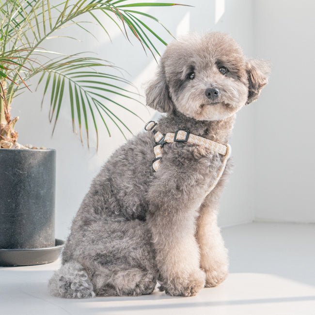 Puppia Egon Harness X Plus Beige hondentuig > honden harnas > overige modellen Small