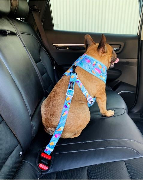 Big and Little Dogs autogordel Ice Cream Delights - Premium Autogordel > Autoriem from Big and Little Dogs - Just €10! Shop now at Frenkiezdogshop