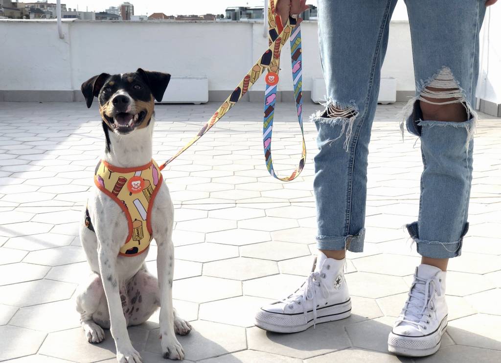 Dukier Reversible Harness Icecream hondentuig > honden harnas > model A X - Small