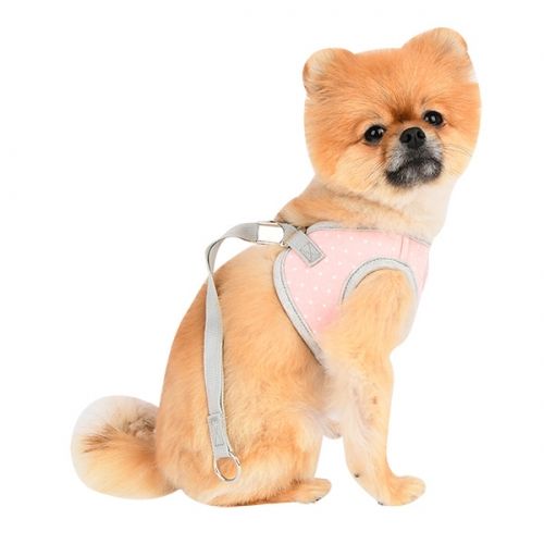 Pinkaholic Lalo Harness Q Indian Pink - Premium hondentuig > honden harnas from Pinkaholic - Just €10! Shop now at Frenkiezdogshop