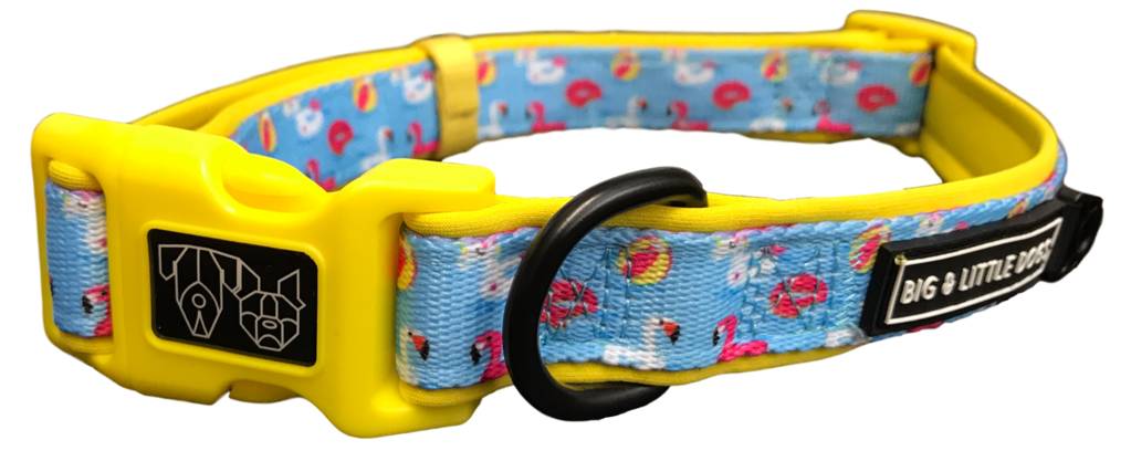 Big and Little Dogs Halsband it's a Pool Party - Premium halsband > hondenhalsband from Big and Little Dogs - Just €10! Shop now at Frenkiezdogshop