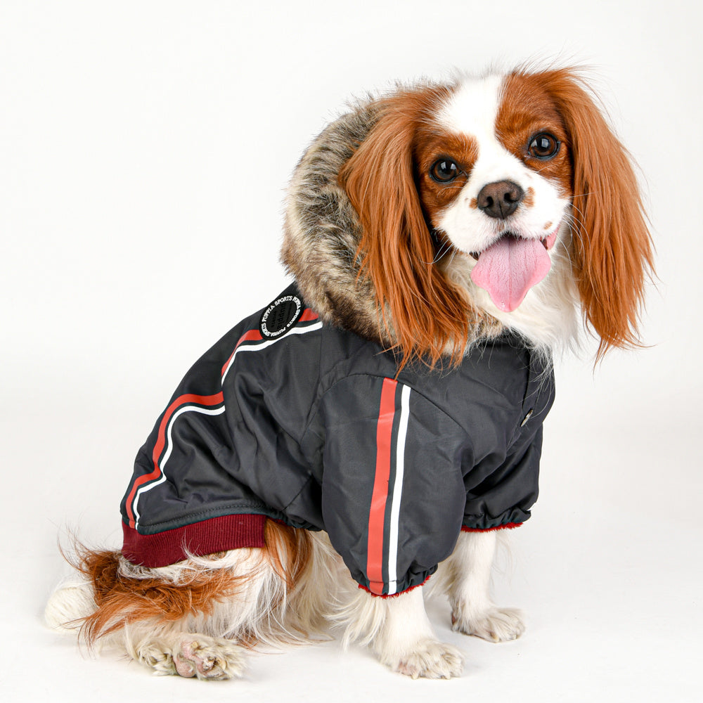 Puppia Fallon Harness Jacket Grey - Premium Hondenkleding > hondenjas from Puppia - Just €50! Shop now at Frenkiezdogshop