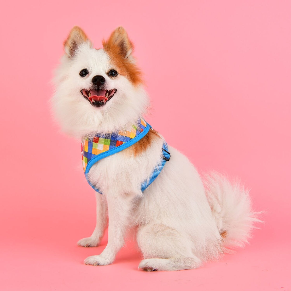 Pinkaholic Vivica Harness blue - Premium hondentuig > honden harnas from Pinkaholic - Just €20! Shop now at Frenkiezdogshop