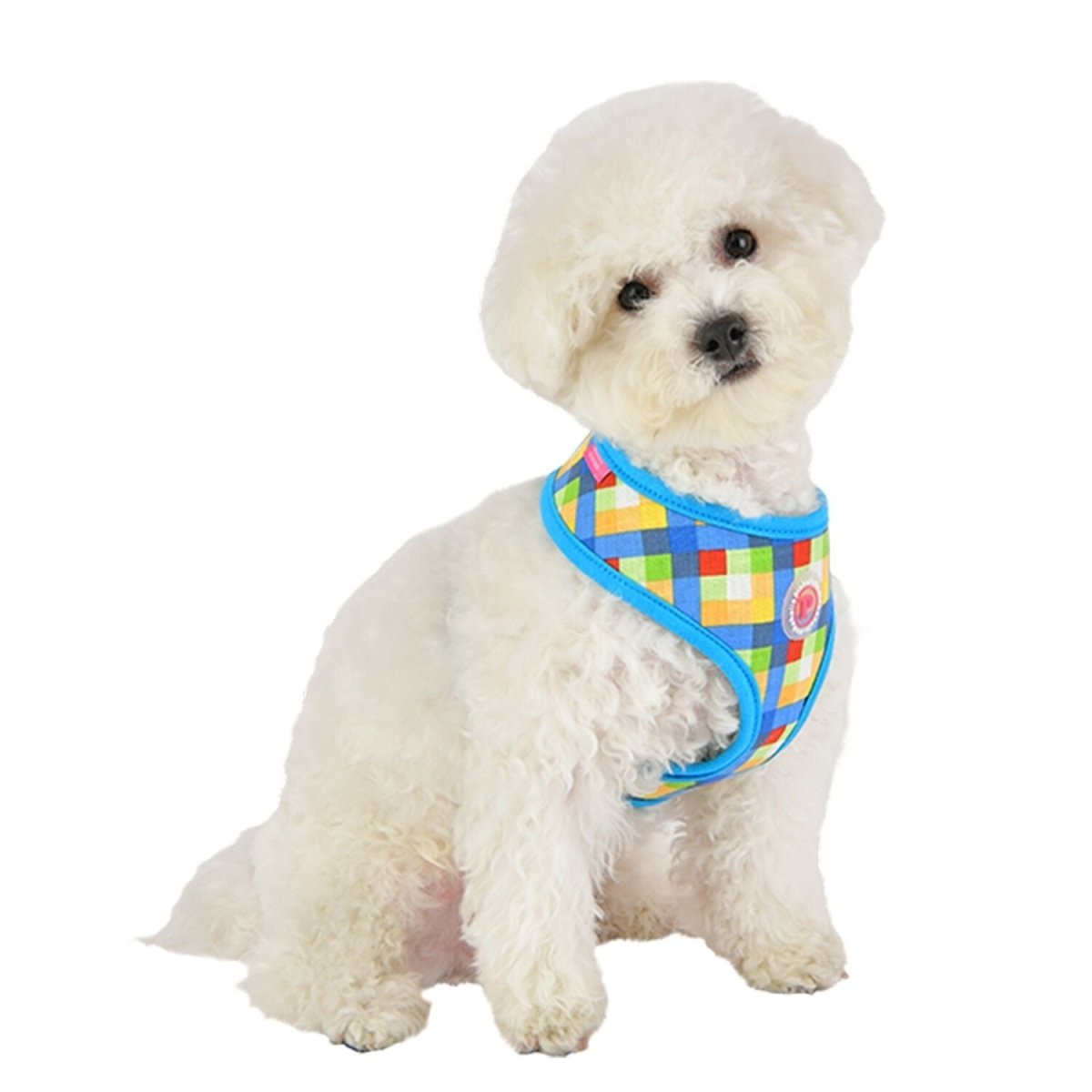 Pinkaholic Vivica Harness blue hondentuig > honden harnas > model A Small