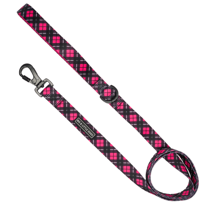 Big and Little Dogs Lijn Her Plaid hondenriem > hondenlijn 1,5 cm breed
