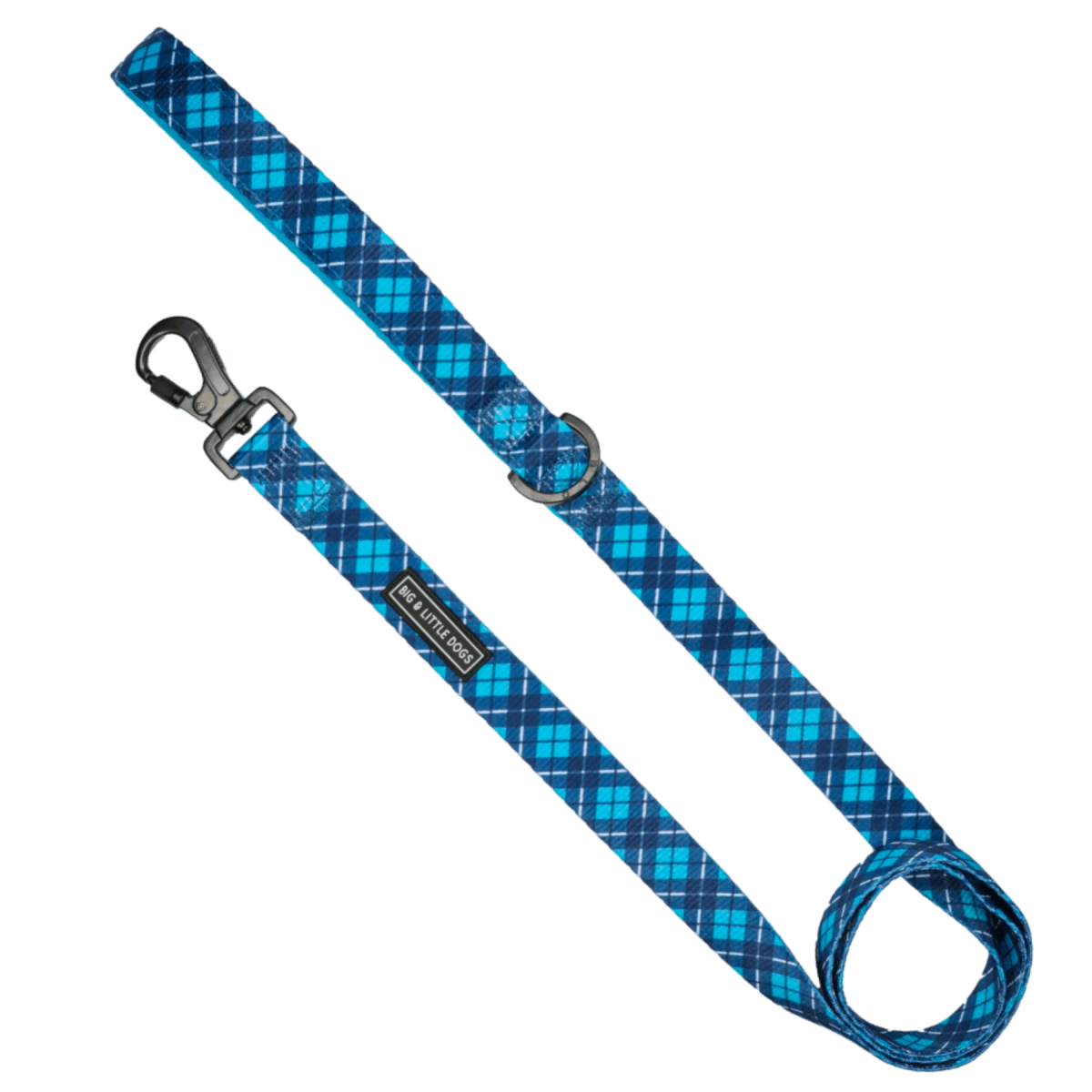 Big and Little Dogs Lijn His Plaid hondenriem > hondenlijn 1,5 cm breed