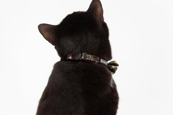 Little Kitty Cat Collar & Bow Tie Cool Cat Camo - Premium halsband > kattenhalsband from Little Kitty - Just €10! Shop now at Frenkiezdogshop