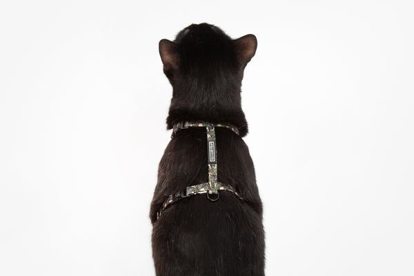 Little Kitty Strap Harness Cool Cat Camo - Premium Kattentuig > kattenharnas from Little Kitty - Just €10! Shop now at Frenkiezdogshop