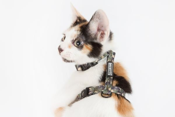Little Kitty Strap Harness Cool Cat Camo - Premium Kattentuig > kattenharnas from Little Kitty - Just €10! Shop now at Frenkiezdogshop
