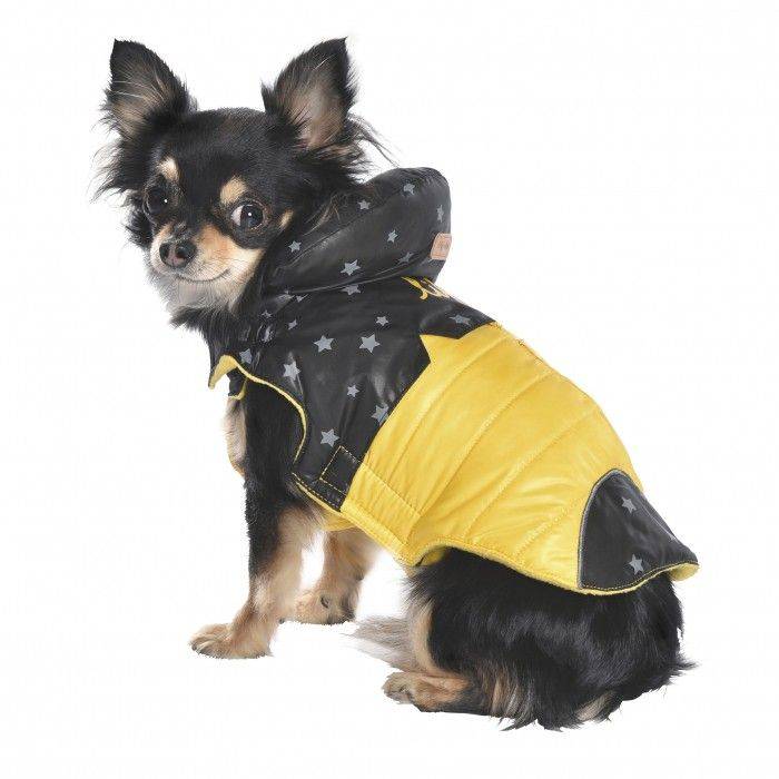 Bobby Winterjas Manteau Life Yellow - Premium Hondenkleding > hondenjas from Bobby - Just €20! Shop now at Frenkiezdogshop